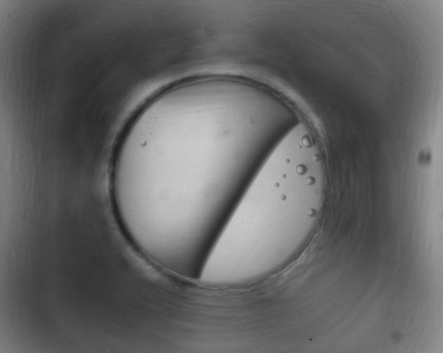 X0000102761416200808180921