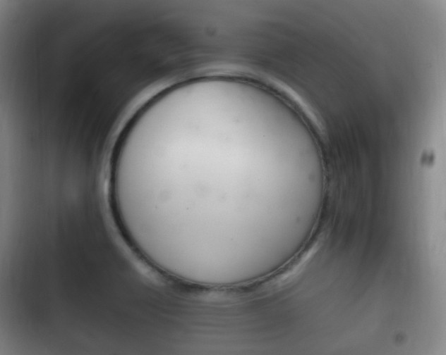X0000102761418200808180921