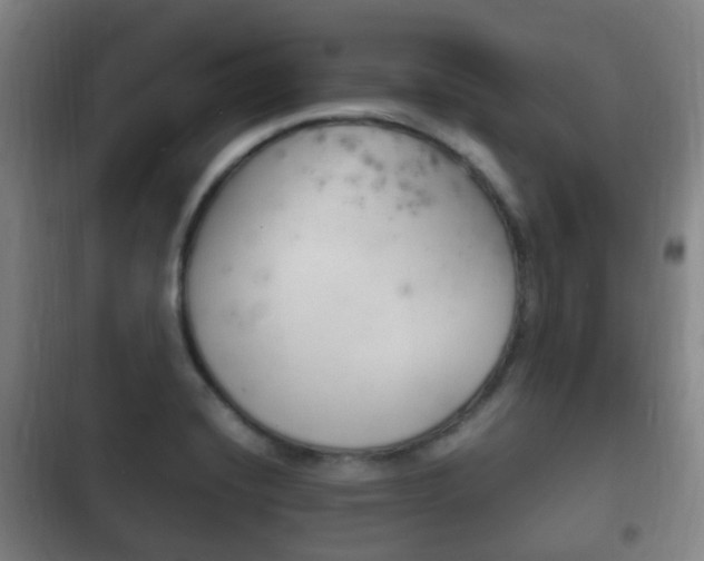 X0000102761420200808180921