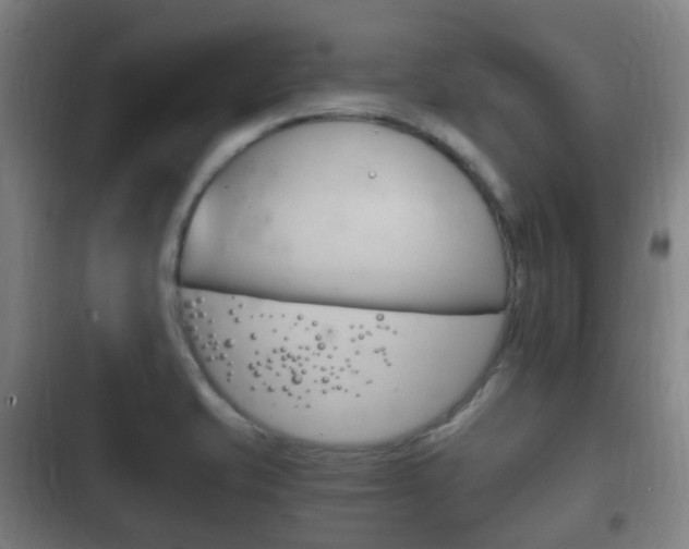 X0000102761421200808180921