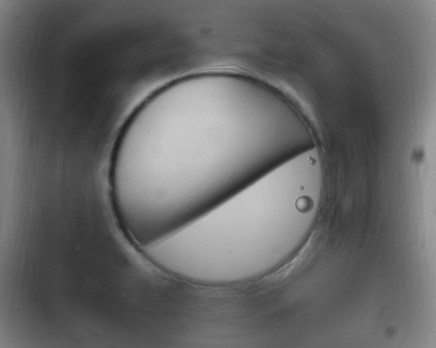 X0000102761422200808180921