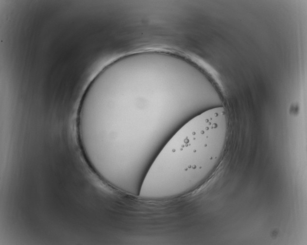 X0000102761423200808180921