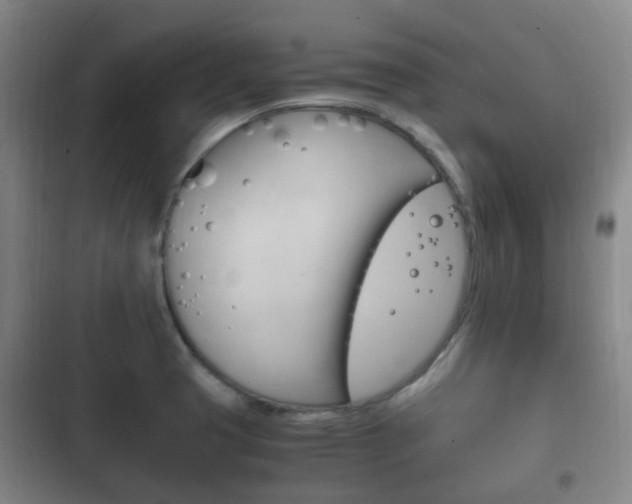 X0000102761425200808180921
