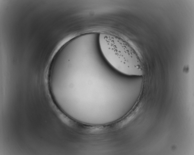 X0000102761426200808180921