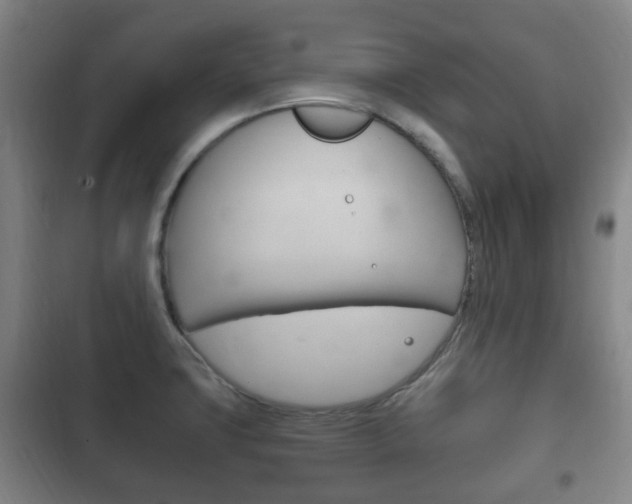 X0000102761427200808180921