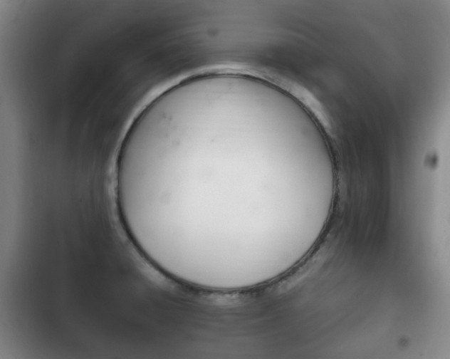 X0000102761428200808180921