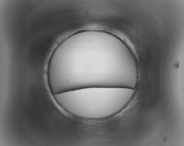 X0000102761429200808180921