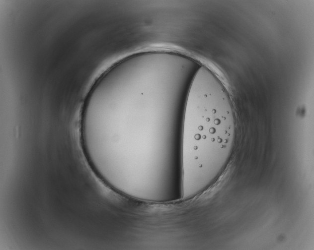 X0000102761430200808180921