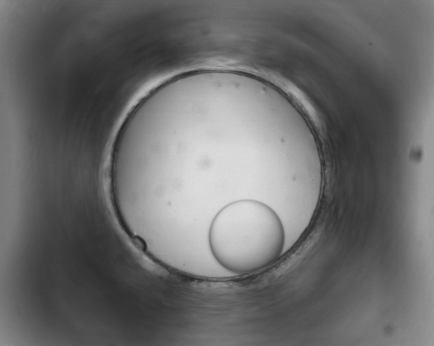 X0000102761432200808180921