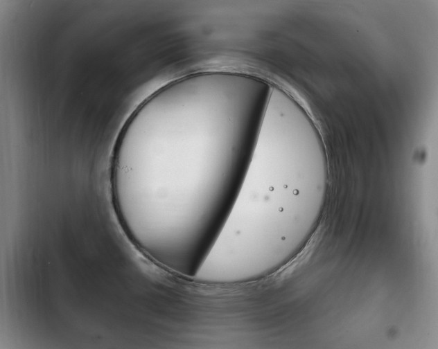 X0000102761434200808180921