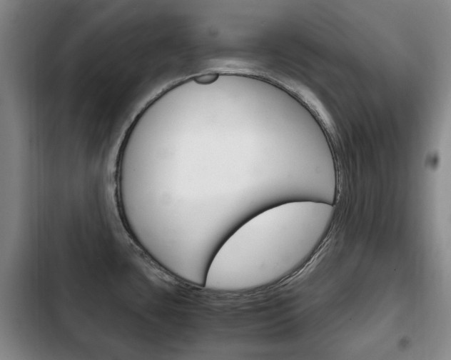 X0000102761435200808180921