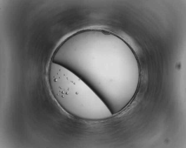 X0000102761436200808180921