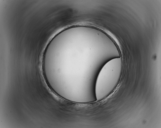 X0000102761437200808180921