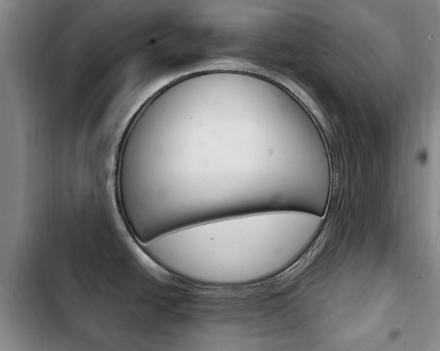 X0000102761438200808180921