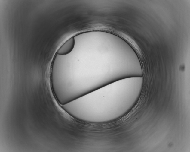 X0000102761439200808180921
