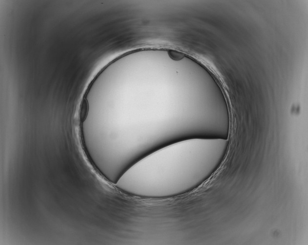 X0000102761440200808180921