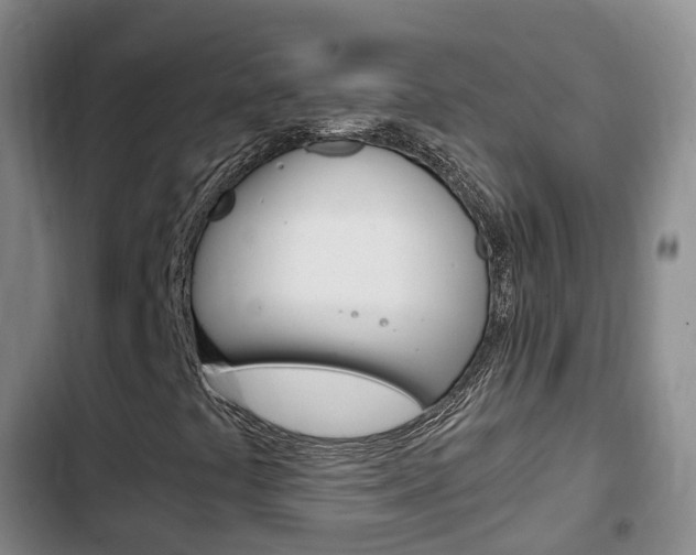 X0000102761441200808180920