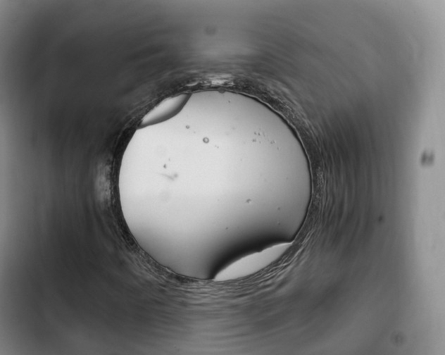 X0000102761442200808180920