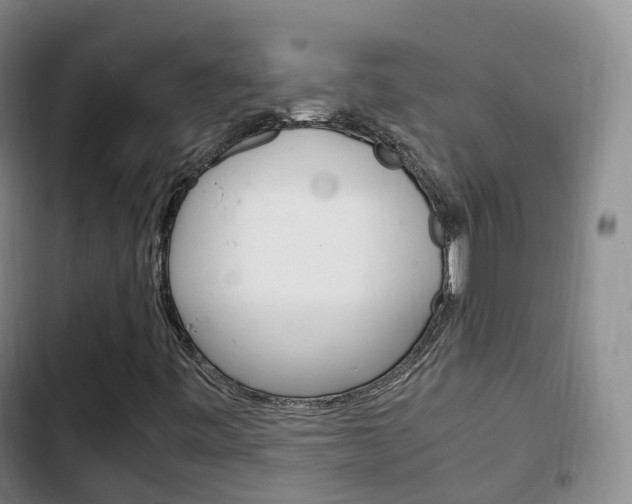 X0000102761443200808180920