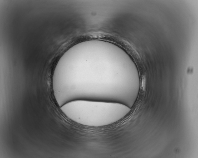 X0000102761444200808180920