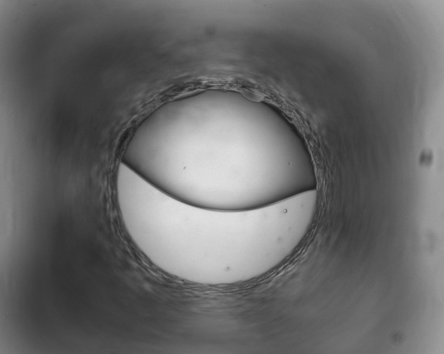 X0000102761445200808180920