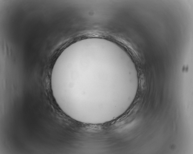 X0000102761446200808180920