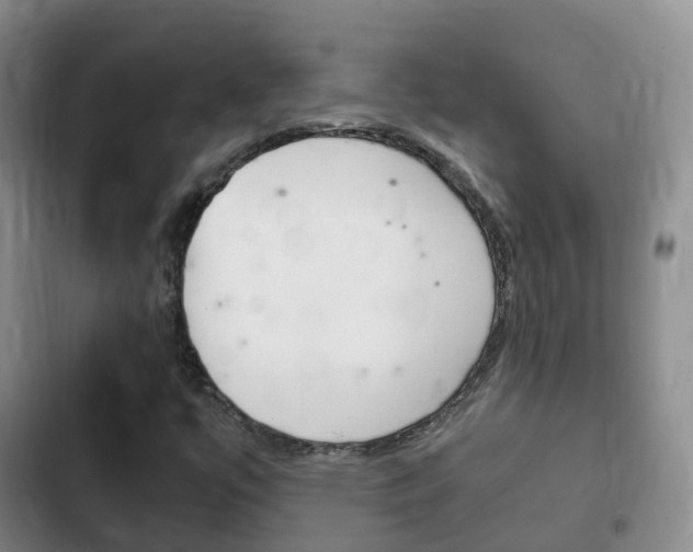 X0000102761447200808180920
