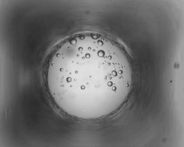 X0000102761448200808180920