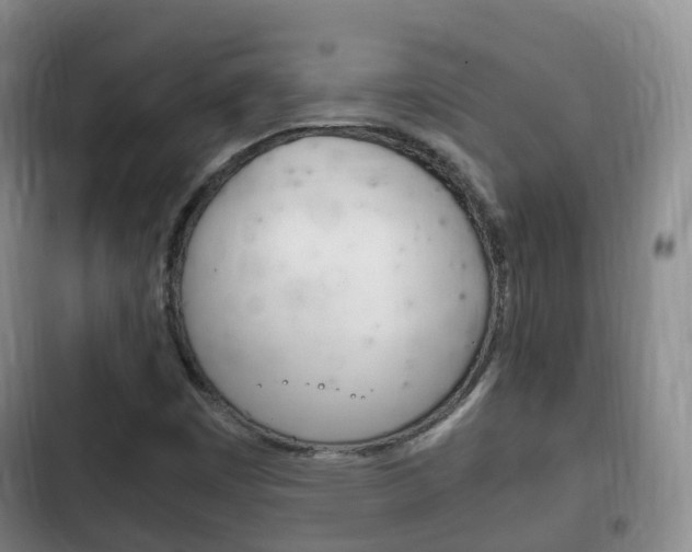 X0000102761449200808180920