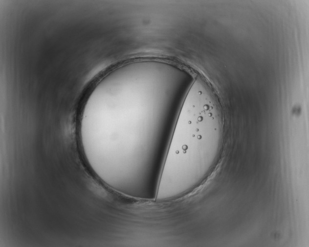 X0000102761450200808180920