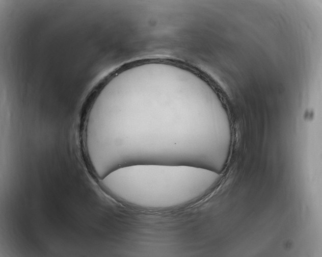 X0000102761452200808180920