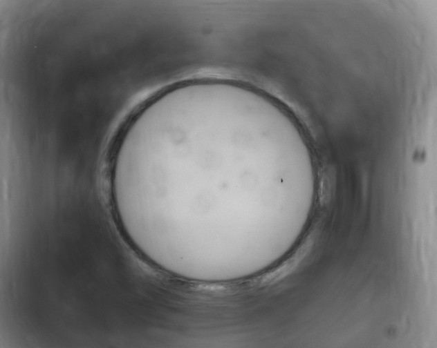 X0000102761454200808180920