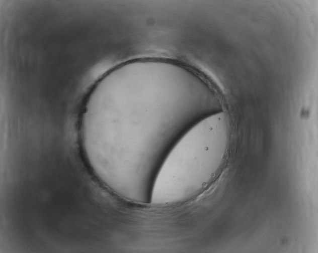 X0000102761455200808180920