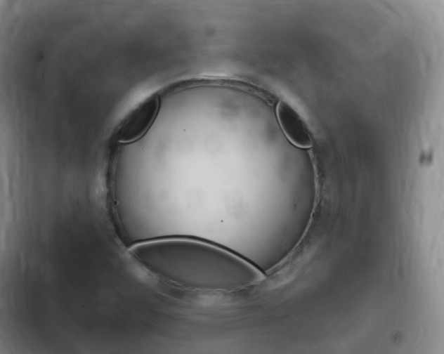 X0000102761456200808180920