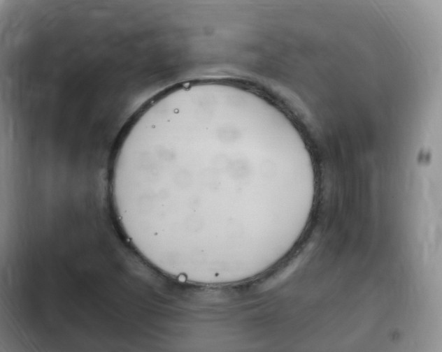 X0000102761457200808180920