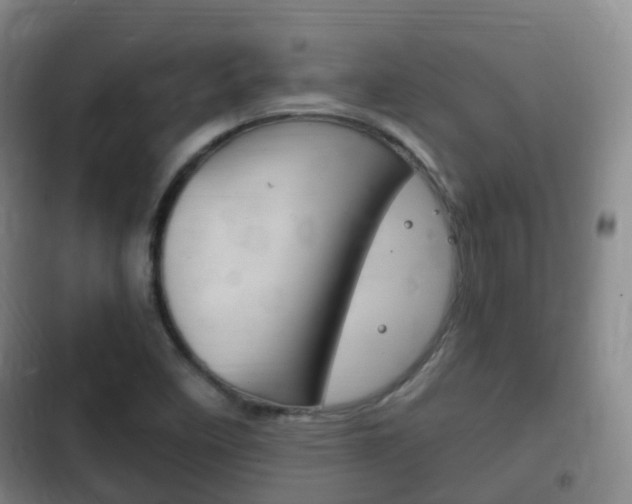 X0000102761458200808180920