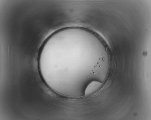 X0000102761460200808180920