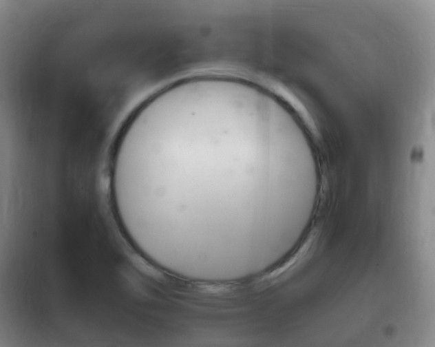 X0000102761462200808180920