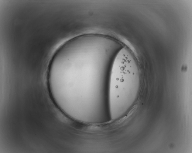 X0000102761463200808180920