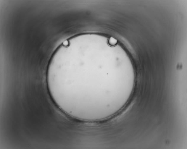 X0000102761465200808180920