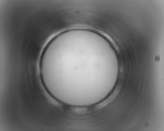 X0000102761466200808180920