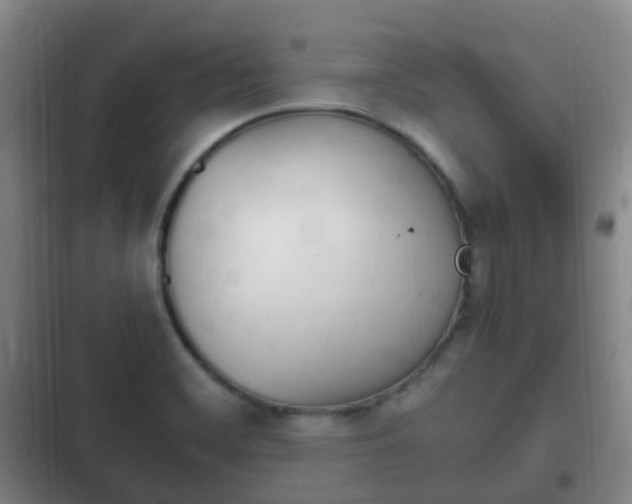 X0000102761468200808180920