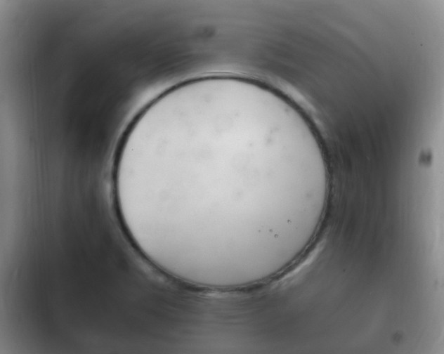 X0000102761469200808180920