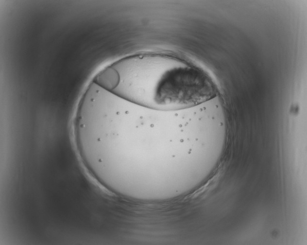 X0000102761471200808180919