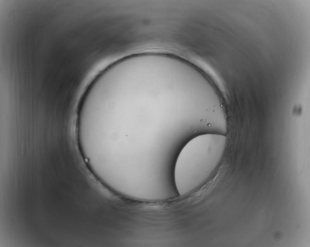 X0000102761472200808180919