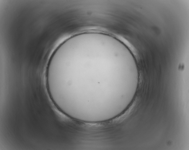 X0000102761474200808180919