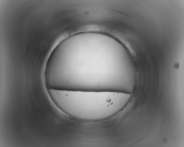 X0000102761475200808180919