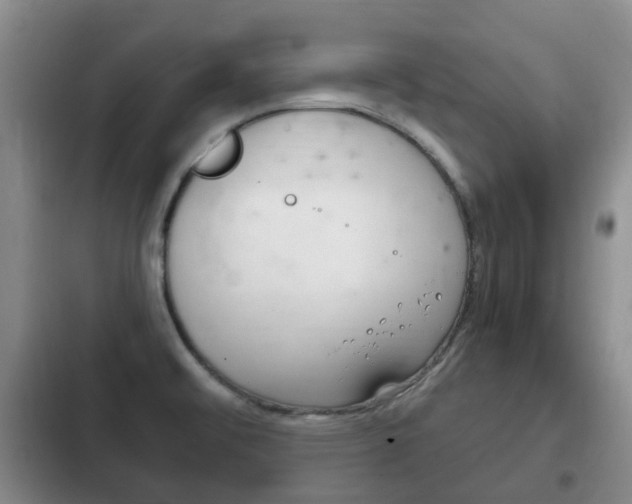 X0000102761476200808180919