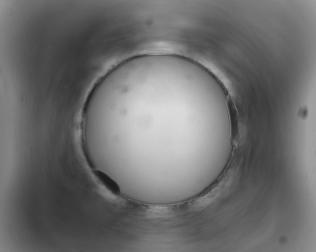 X0000102761477200808180919