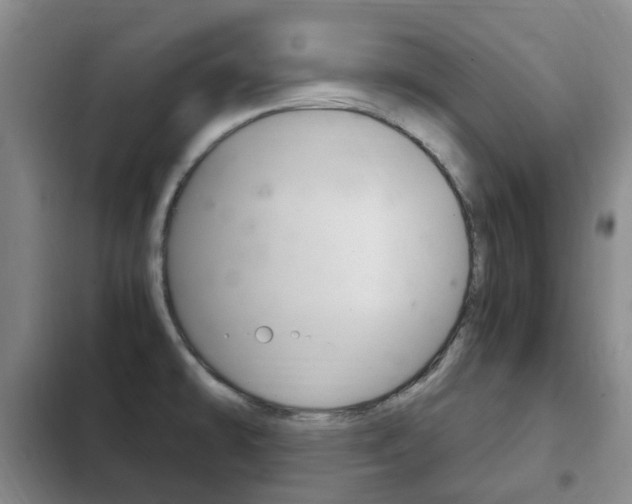 X0000102761478200808180919